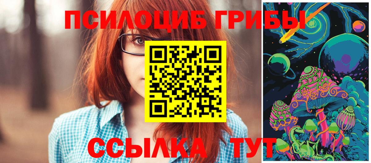 Галлюциногенные грибы мицелий  Вход с VPN  Заводоуковск 